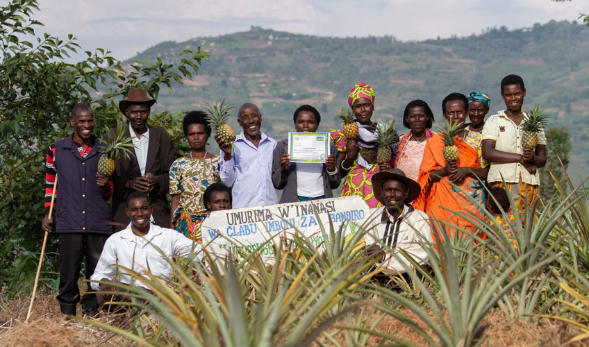 A group of pineapple club members at their plantation